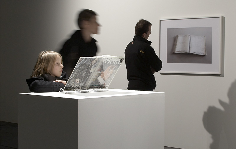 Another Misspent Portrait of Etienne de Silhouette (1999 +)