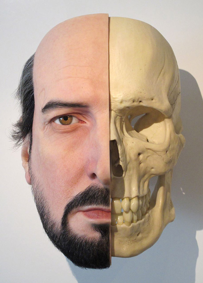 Calcium divide (self portrait), 2011  mixed media 840cm x 600cm x 660cm